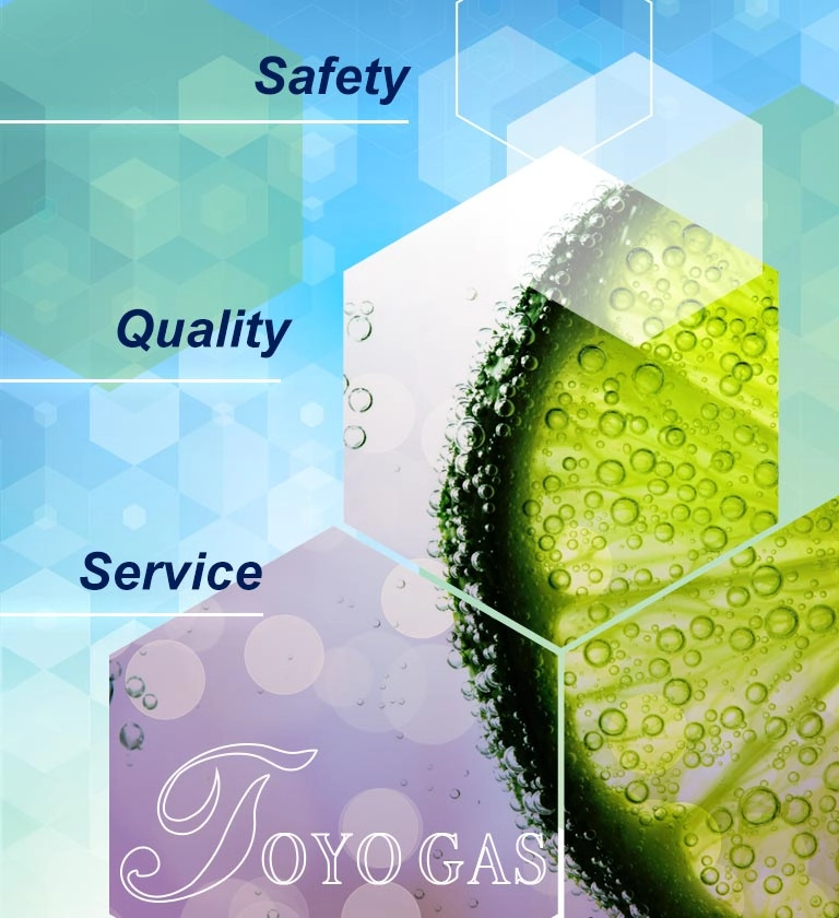 東洋氣體有限公司